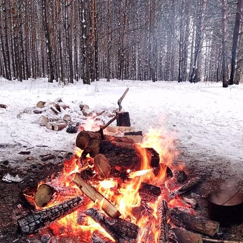 Photo #5498263
