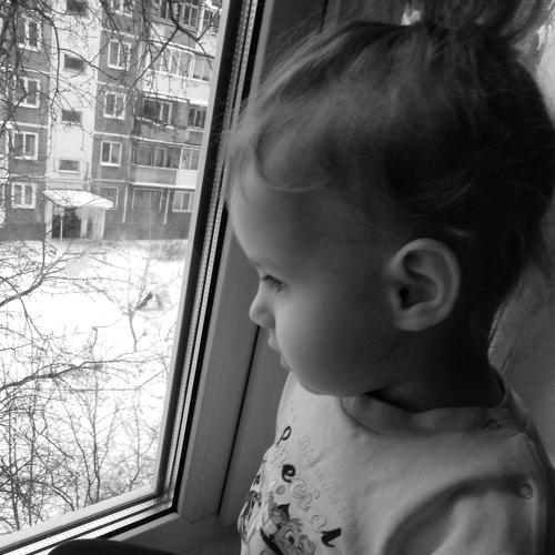 Photo #5498913