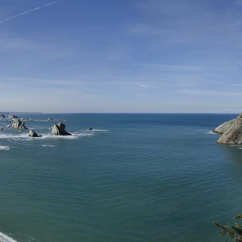 Photo #5499011