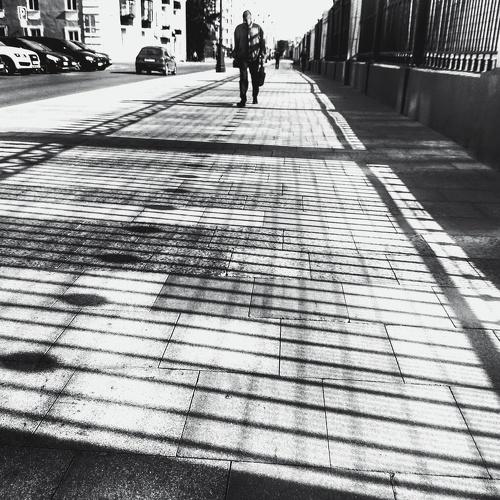 Photo #5499041