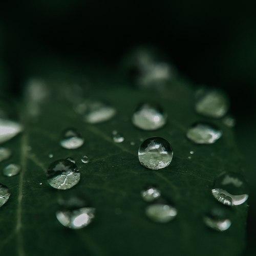 Photo #5499559