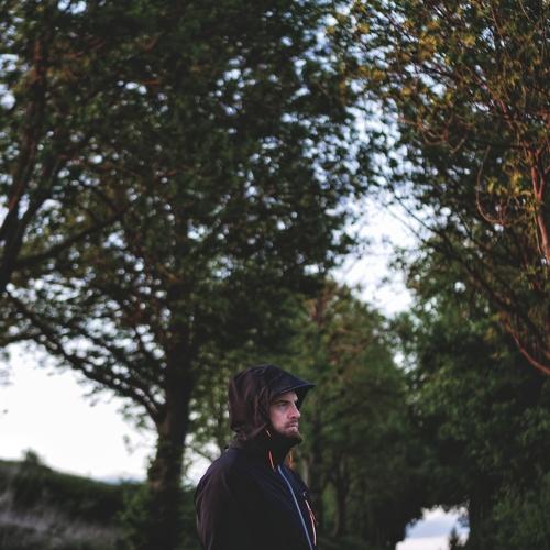 Photo #5499577