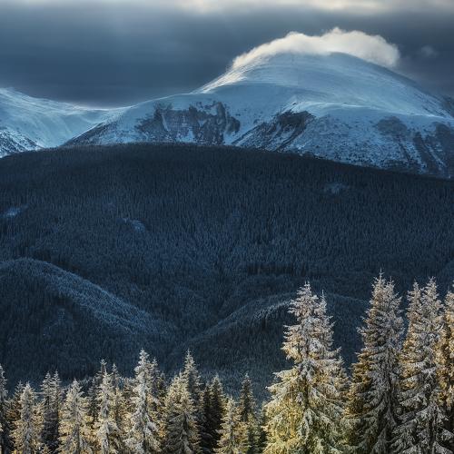 Photo #5499765