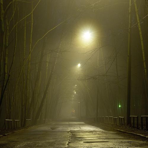 Photo #5499829