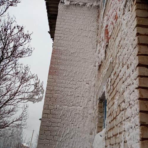 Photo #5499945