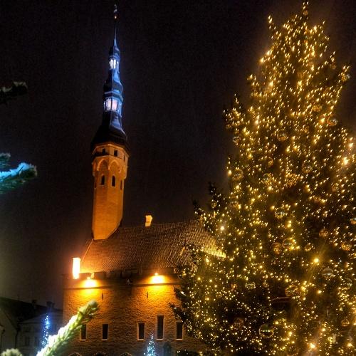 Photo #5500622