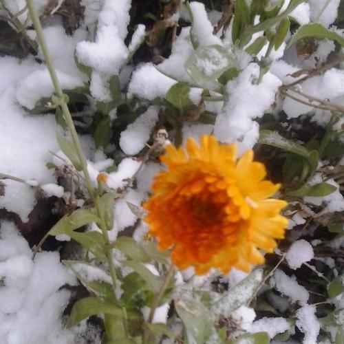 Photo #5500623