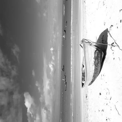 Photo #5500916