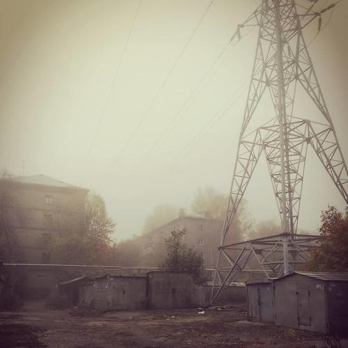 Photo #5501622