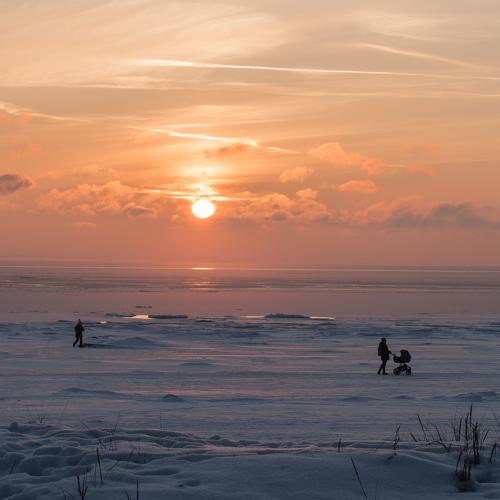 Photo #5502064