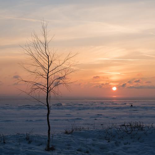 Photo #5502079