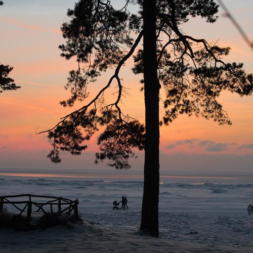 Photo #5502090