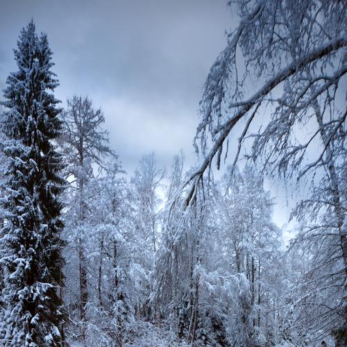 Photo #5502556