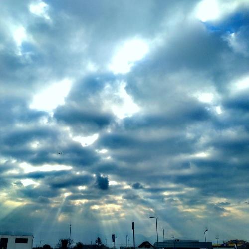 Photo #5503049
