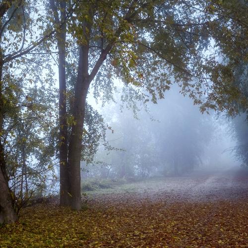 Photo #5503109
