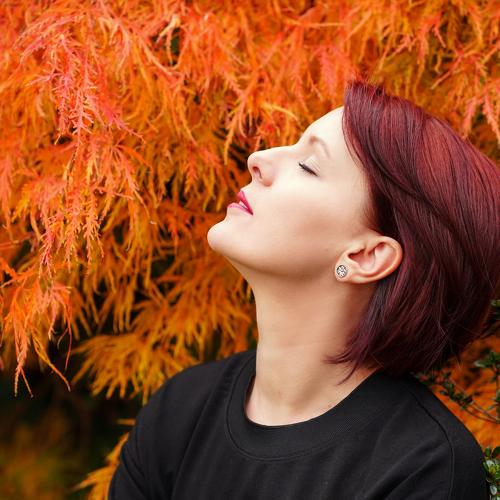 Photo #5503496