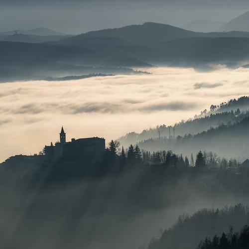 A foggy sunny day