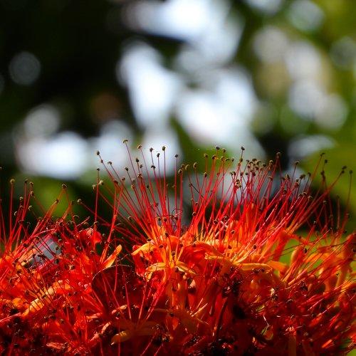Photo #5503867