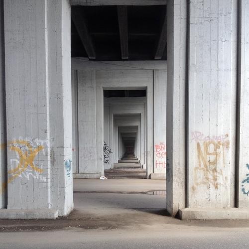 Photo #5504057