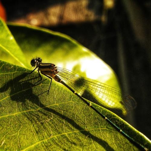 Photo #5504563