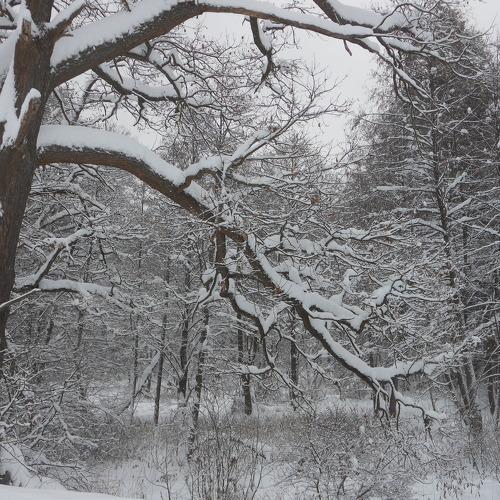 Photo #5504789