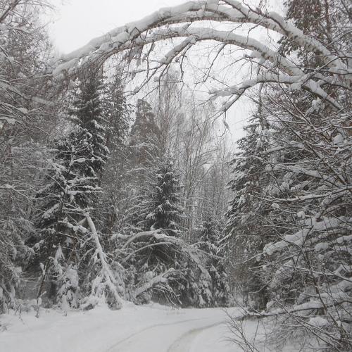 Photo #5504812