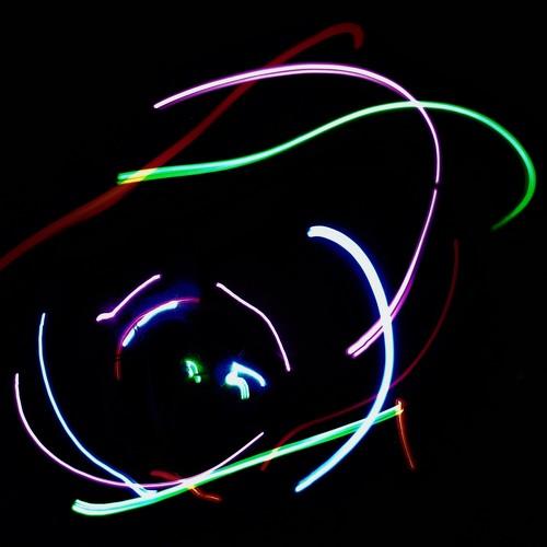 Photo #5504841