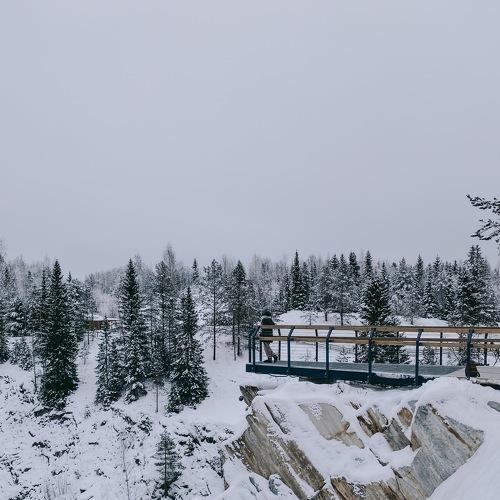 Photo #5505024