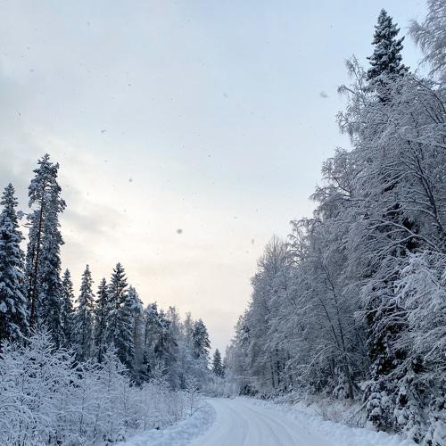 Photo #5505025