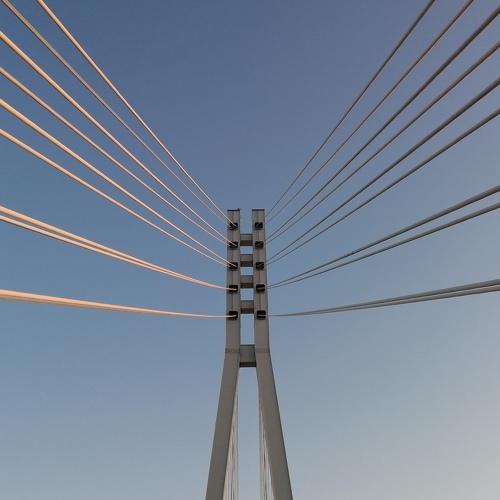 Photo #5505045