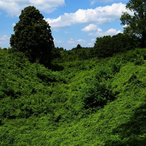 Photo #5505095