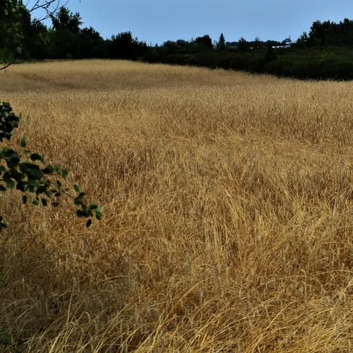 Photo #5505098