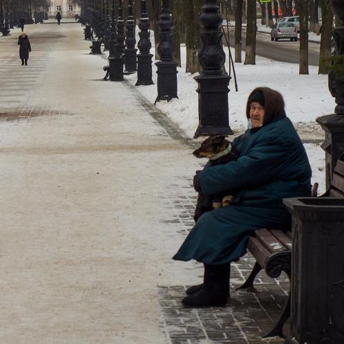 Photo #5505217