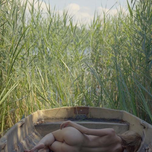 Photo #5505661