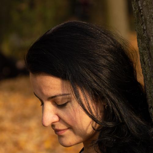 Photo #5505761
