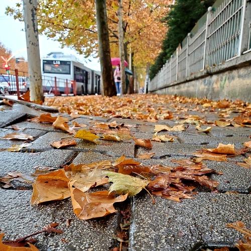 Photo #5505798