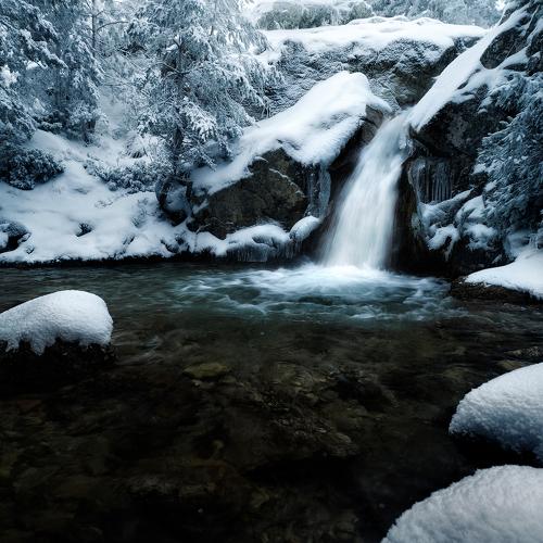 Photo #5505962