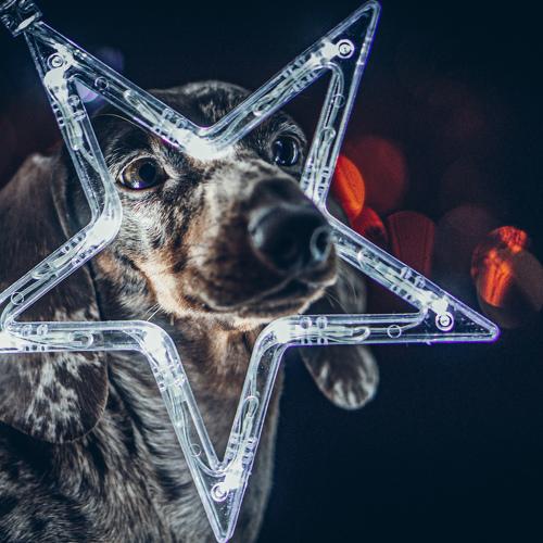 Photo #5506041