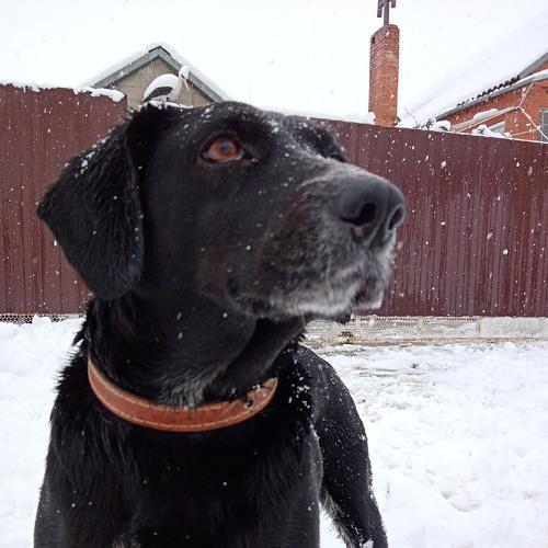 Photo #5506132