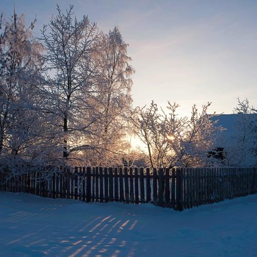 Photo #5506620