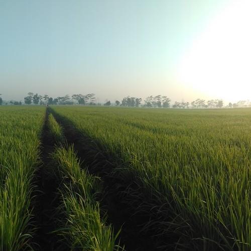 Photo #5507085