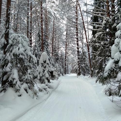 Photo #5507213