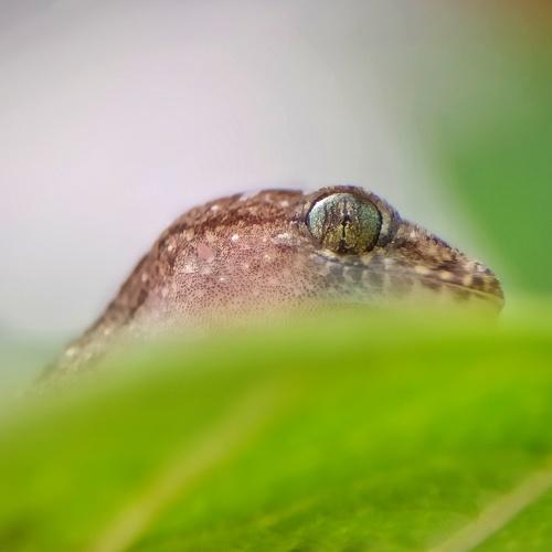 Photo #5507323