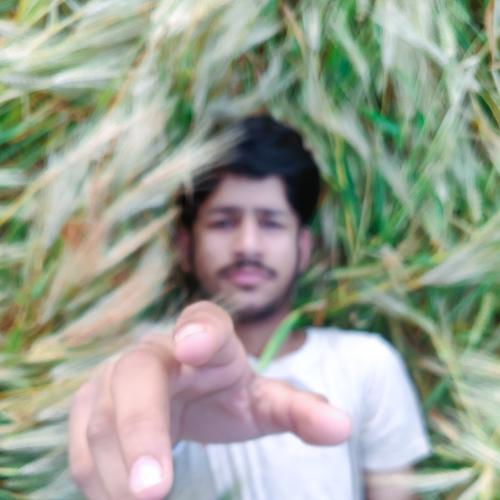Photo #5507427
