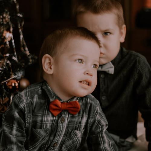 Photo #5507441