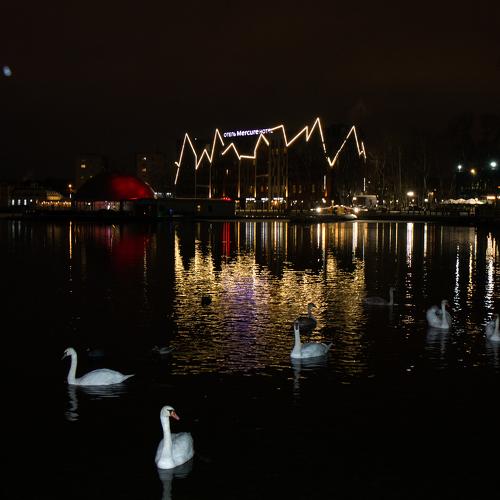 Photo #5507926