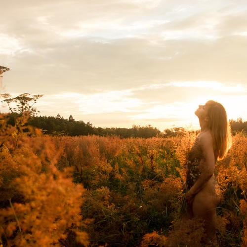 Photo #5508602