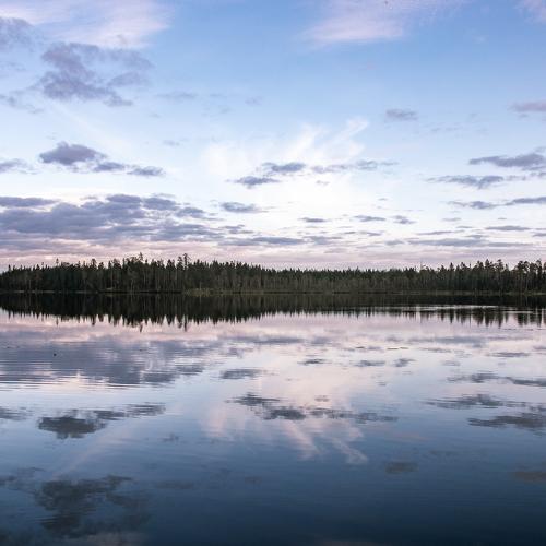 Photo #5508626