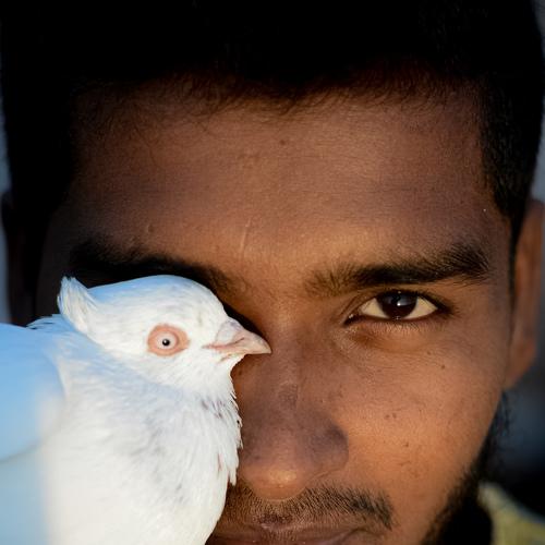 Photo #5508732