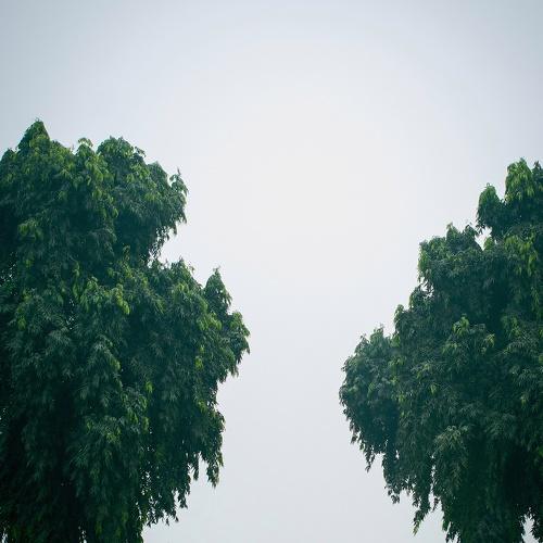 Photo #5508827